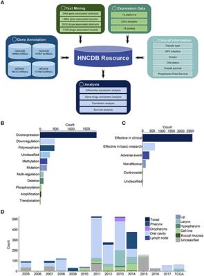 HNCDB: An Integrated Gene and Drug Database for Head and Neck Cancer